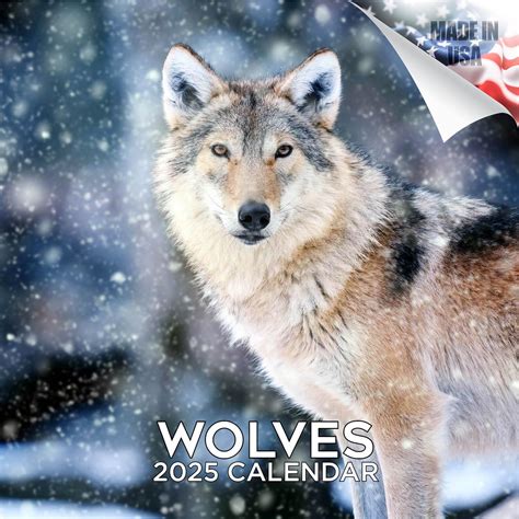 200% Wolf 2025